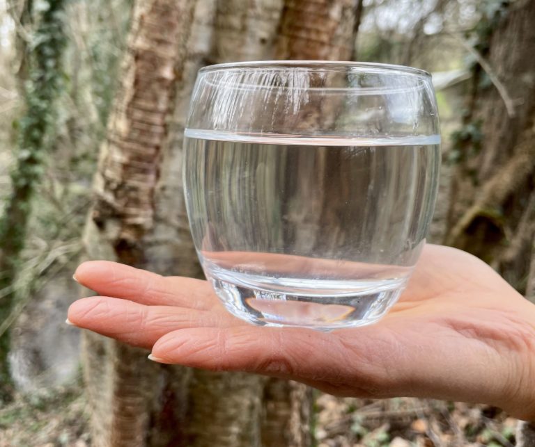 Spiruline française naturelle écologique Boisson bio dynamisante