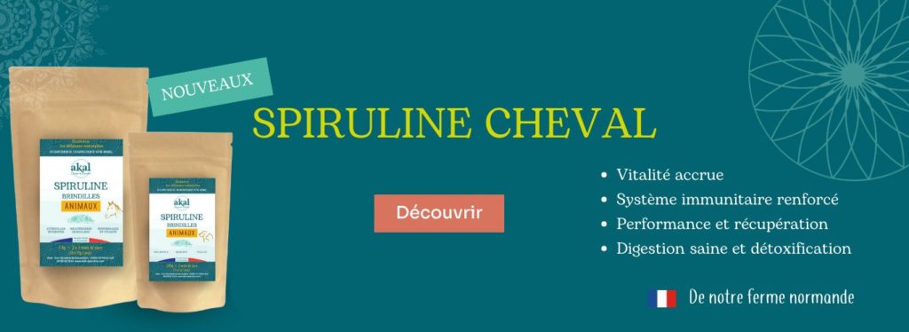 bienfait spiruline cheval